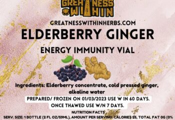 Elderberry Ginger-Energy Immunity Shot